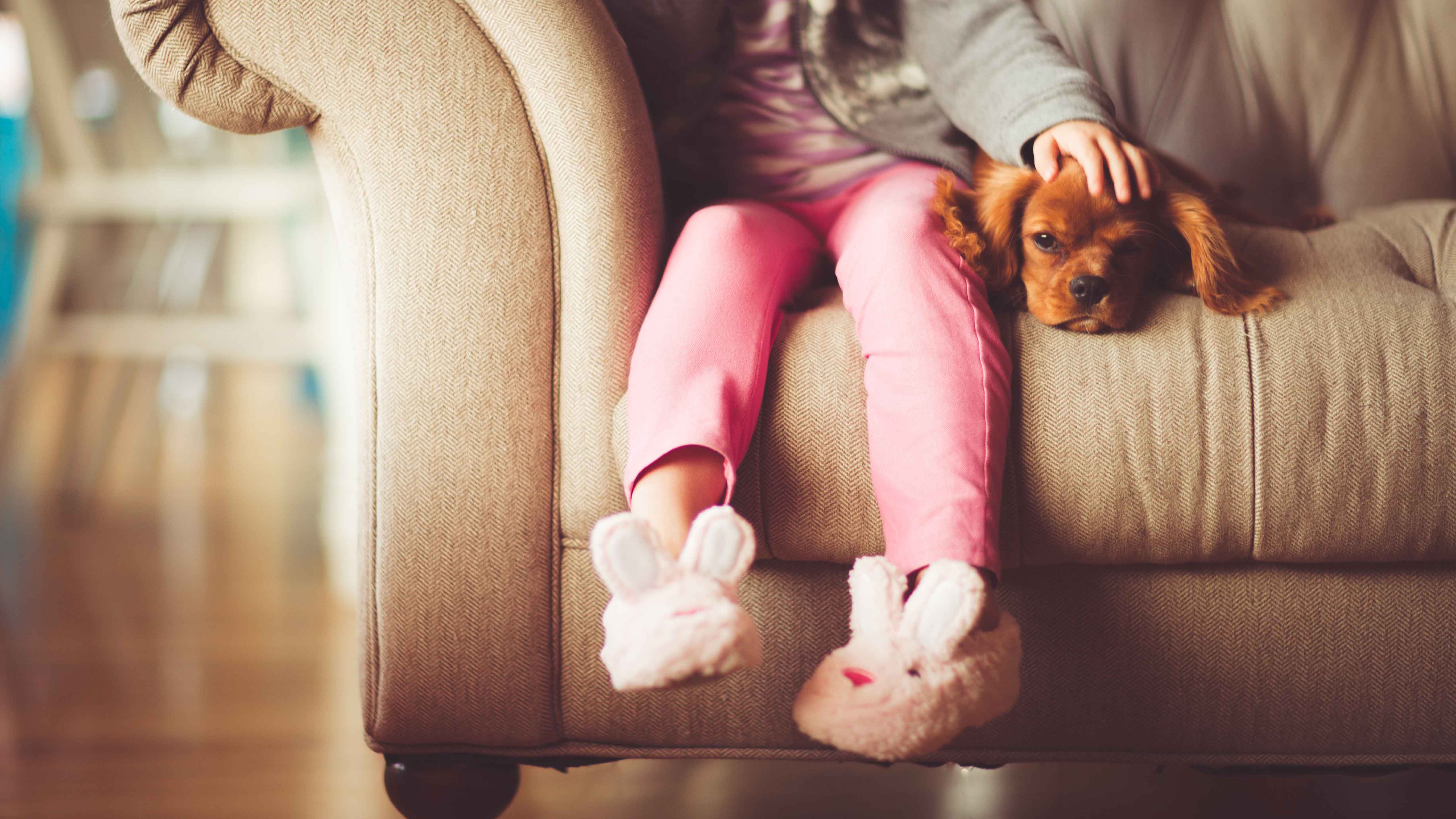 little girl and dog