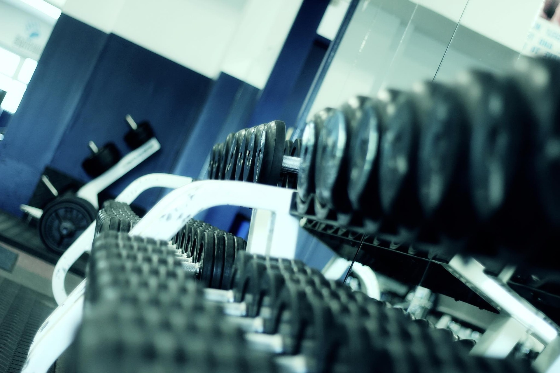 rows of barbells at a gym